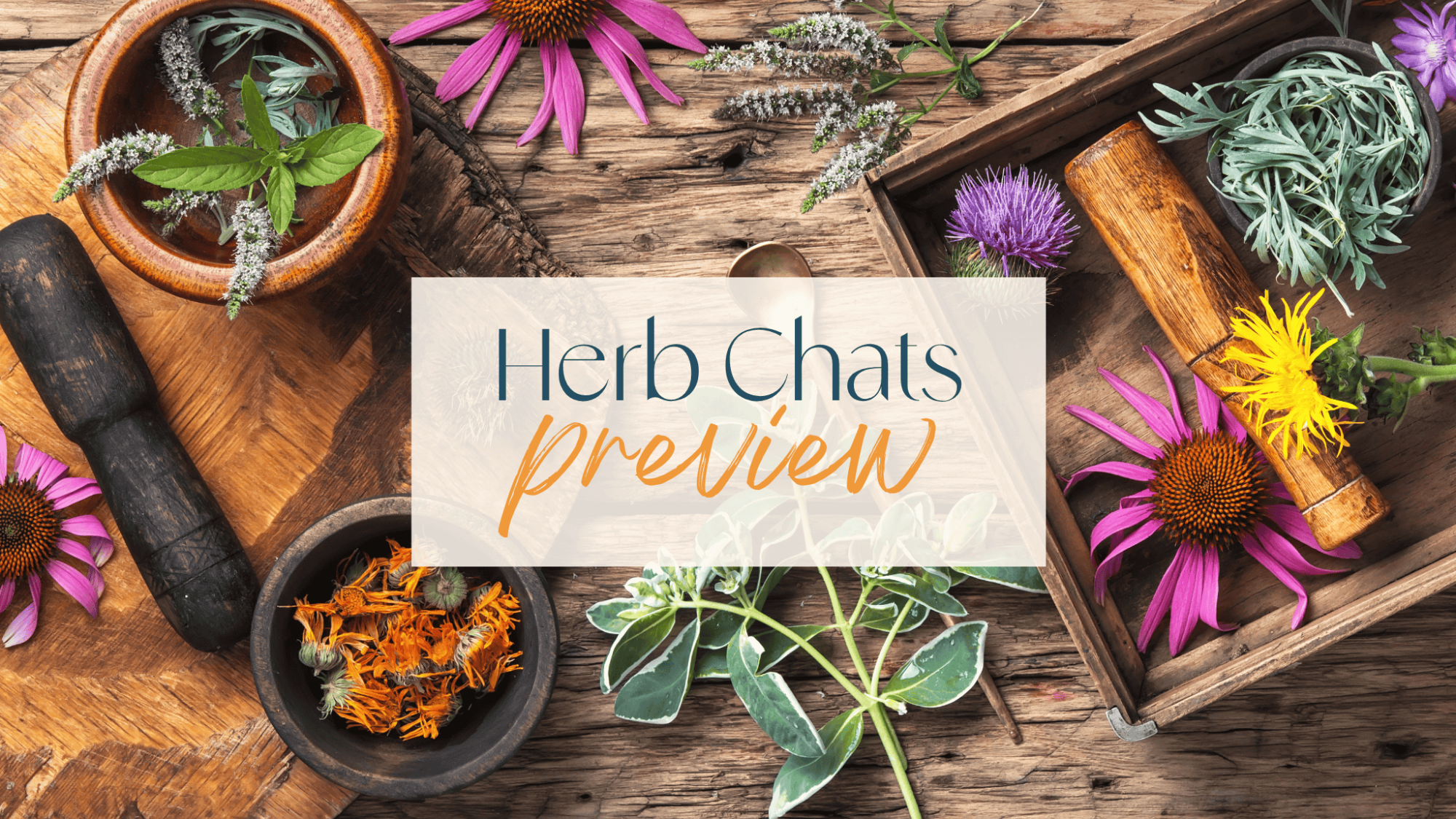 herb chats preview herbs mortar pestle etc.